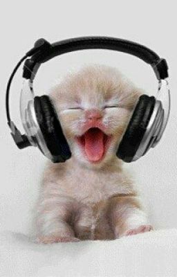 тексты песен