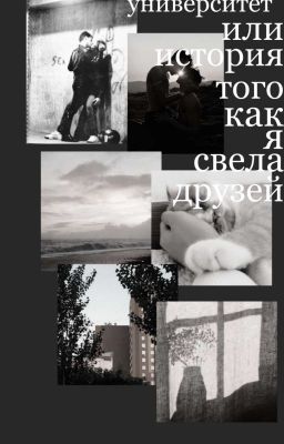 Университет, или история того как я свела друзей