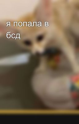 я попала в бсд