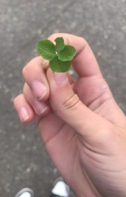 Самые большие ошибки