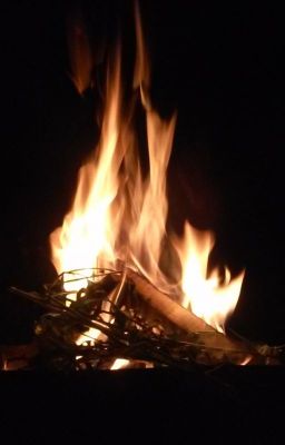 Университет Магических Искусств