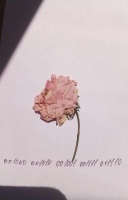 Новая жизнь 