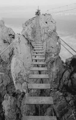 Жизнь жестока