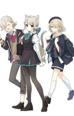 Здравствуй университет...И новая жизнь 