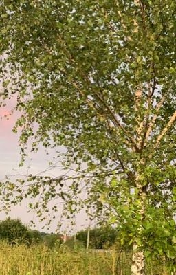 Старшеклассник.