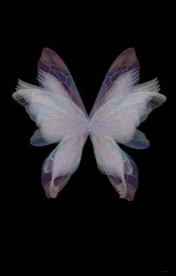 Мой самый лучший враг