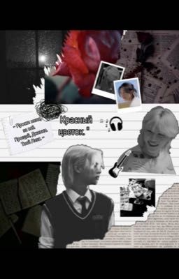 Красный цветок.