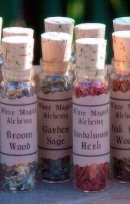 Гермиона Грейнджер и Северус Снейп