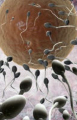 Я несчастный человек