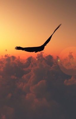 Свободная птица