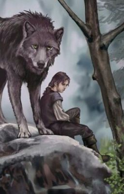 Выбор Волка 