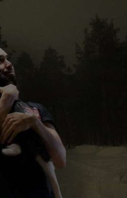 Летние приключения 