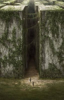 Бегущий в лабиринте, переменная.