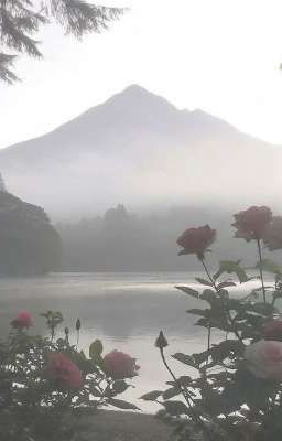 𝓯𝓻𝓮𝓮 𝓫𝓲𝓻𝓭 𖤓 || 𝐒𝐨𝐧𝐲𝐚 𝐓𝐌𝐑