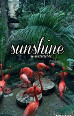 sunshine | harry styles