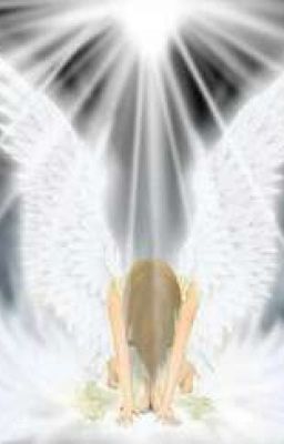 Крылья света