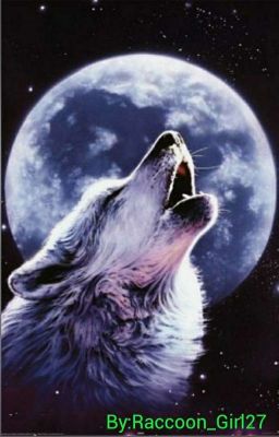 Полнолуние