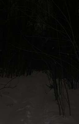 Опустевшая зима.[ИНМТ]