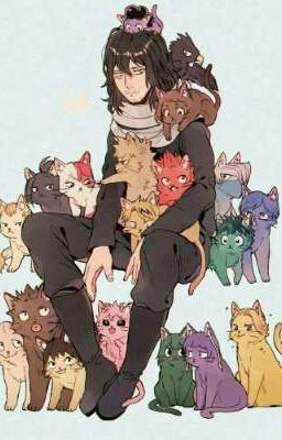 Моя любимая академия