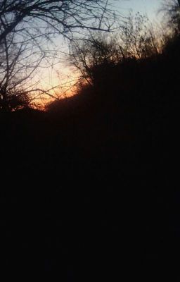 Смерть Блум