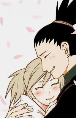 Долгий путь любви 