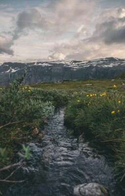 иногда, мы страшнее наших страхов. 