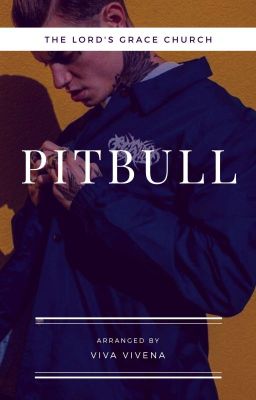 PITBULL «2019»