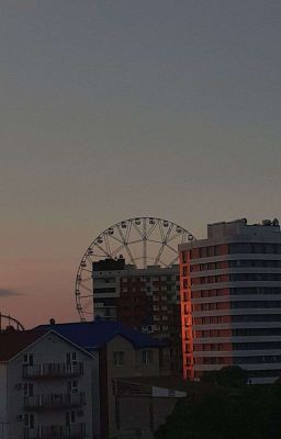 Девушка с острова чаек 