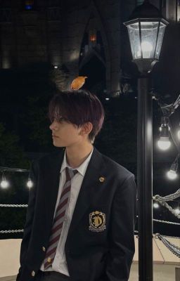 Дотянуться до тебя