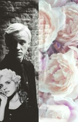 Скажи, что это ложь... Или таинственные белые розы...