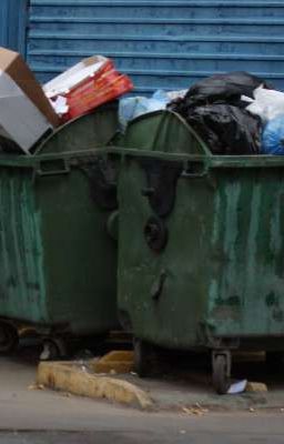 Машинька и мусор