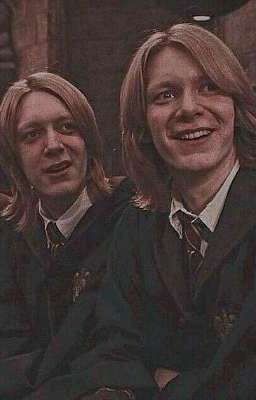 Реакция Гарри Поттера на т/и