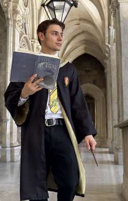 Отражение в Хогвартс 