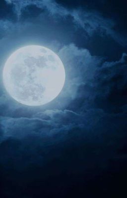 Под покровом лунных встреч