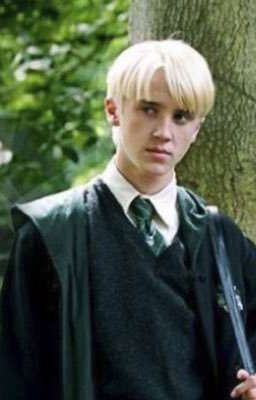  Слизерин - особый факультет