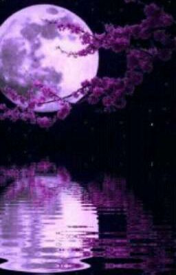 "Сказание при свете Луны"