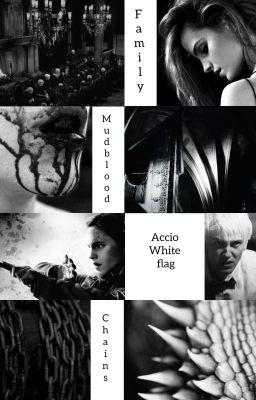 Мой ридикулус на тебе не работает